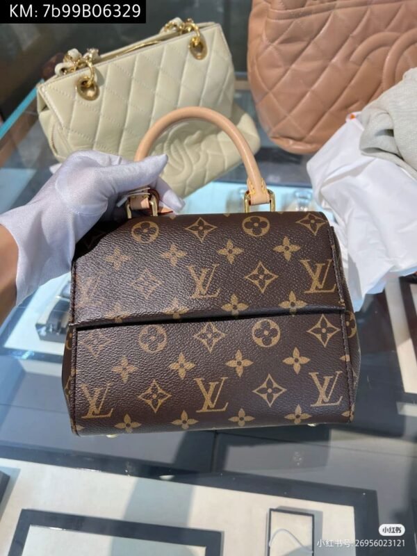 Louis Vuitton bag - Image 6